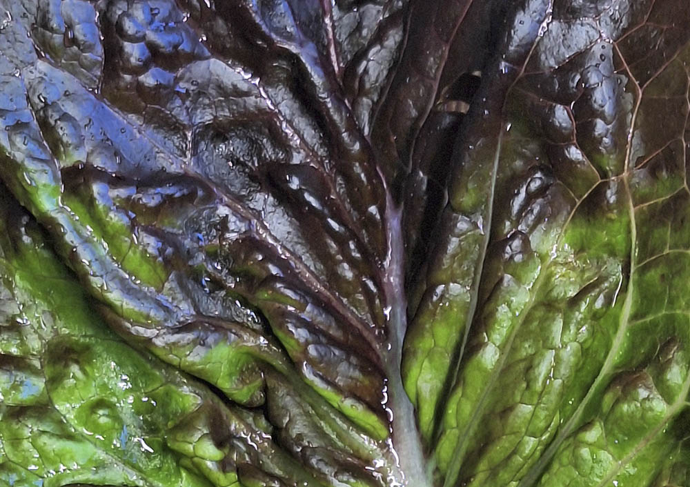 Bindsalat