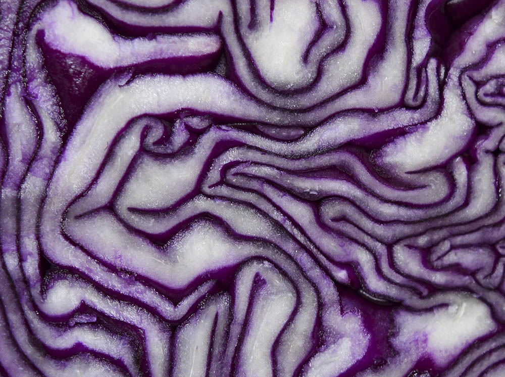 Rødkål