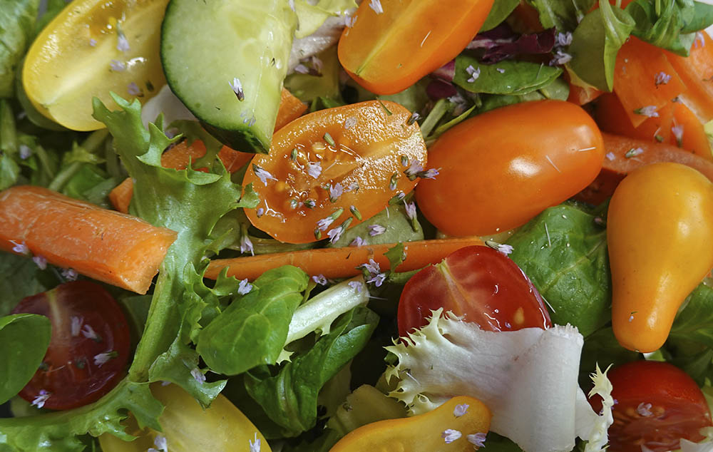 Chokolademynteblomster p salat