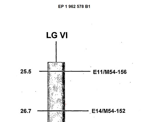 DNA markrer, European Patent EP1962578