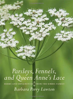 Parsleys, Fennels and Queen Annes Lace - Herbs and Ornamentals from the Umbel Family