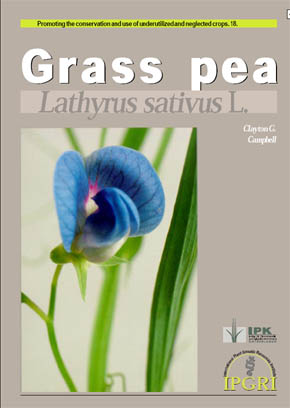 Grass Pea - Lathyrus sativus L.