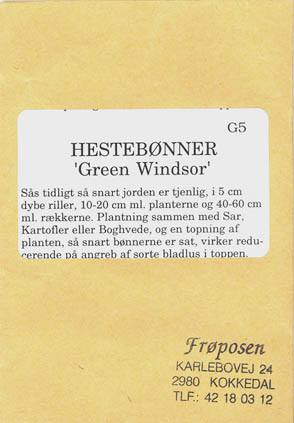 Hestebnne, Green Windsor, Vicia faba </i>L.<i>