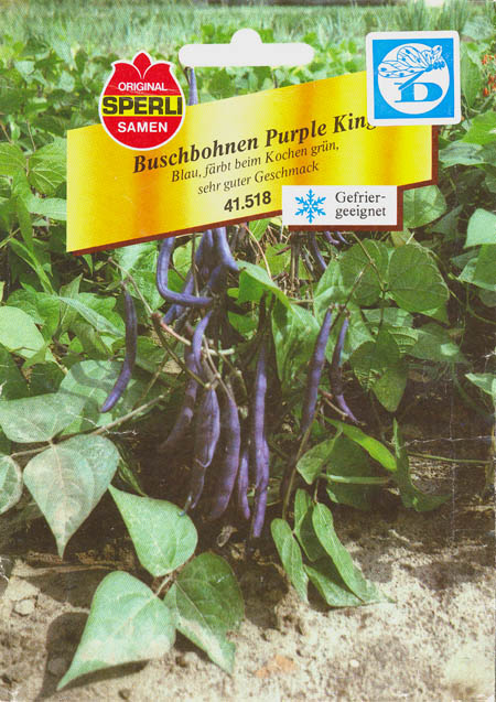 Havebnne, Purple King, Phaseolus vulgaris </i>L.<i>
