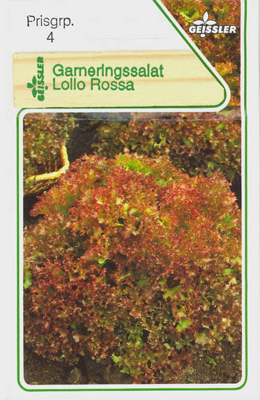 Havesalat, pluksalat, Lollo Rossa, Lactuca sativa </i>L. var. <i>crispa