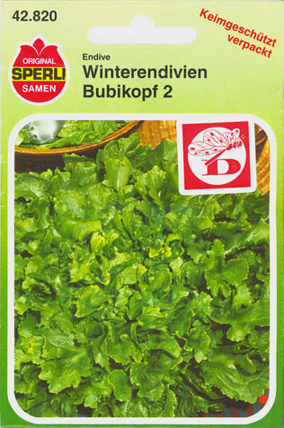 Endivie, Bubikopf 2, Cichorium endivia </i>L.<i>