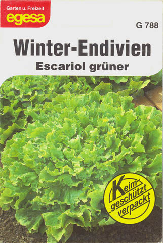 Endivie, Escariol grner, Cichorium endivia </i>L.<i>