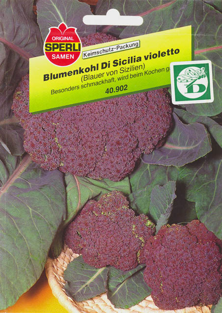 Blomkl, Di Sicilia violetto, Brassica oleracea </i>L. var. <i>botytris