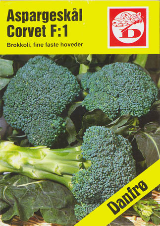 Broccoli, Corvet F1, Brassica oleracea </i>L. var. <i>italica