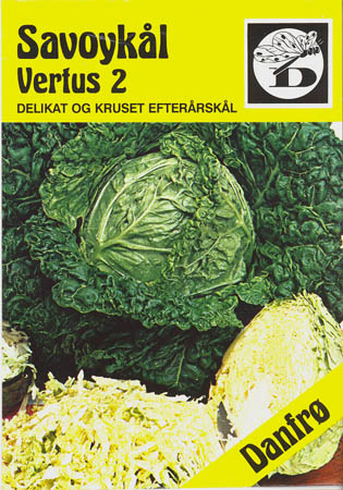 Savoykl, Vertus 2, Brassica oleracea </i>L. var. <i>sabauda