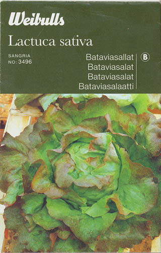 Havesalat, hovedsalat, Sangria, Lactuca sativa </i>L. var. <i>capitata