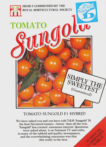 Tomat, Sungold, Solanum lycopersicum</i> L<i>