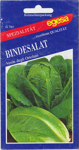 Havesalat, romersalat, Verde degli Ortolani, Lactuca sativa </i>L. var. <i>longifolia.