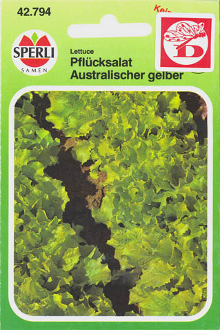 Havesalat, pluksalat, Australischer gelber, Lactuca sativa </i>L. var. <i>crispa