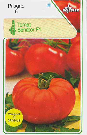 Tomat, Senator F1, Solanum lycopersicum</i> L<i>