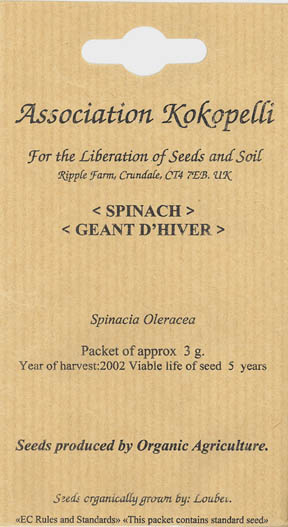 Spinat, Geant d'hiver, Spinacia oleracea </i>L.<i>