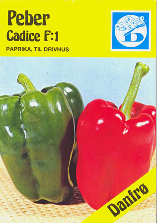 Peberfrugt (Spansk peber), Cadice F1, Capsicum annuum </i>L.<i>