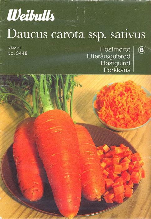 Gulerod, Kmpe, Daucus carota </i>L. subsp.<i> sativus