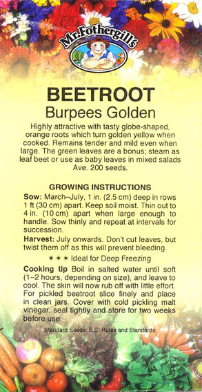 Rdbede, Burpees Golden, Beta vulgaris </i>L. var.<i> vulgaris