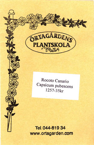 Rocoto, Rocoto Canario, Capsicum pubescens