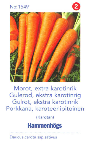 Gulerod, Karotan, Daucus carota </i>L. subsp.<i> sativus