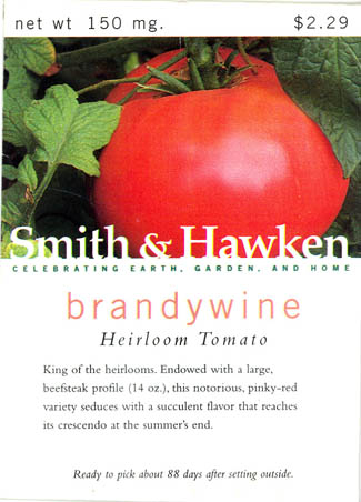 Tomat, Brandywine, Solanum lycopersicum</i> L<i>