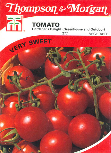 Tomat, Gardeners Delight, Solanum lycopersicum</i> L<i>