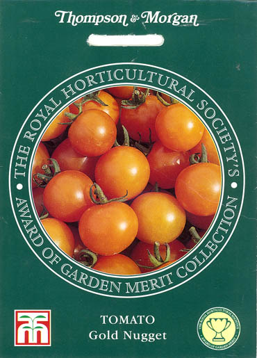 Tomat, Gold Nugget, Solanum lycopersicum</i> L<i>