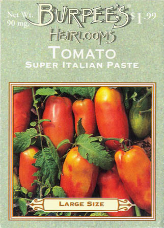 Tomat, Super Italian Paste, Solanum lycopersicum</i> L<i>