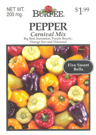 Peberfrugt (Spansk peber), Carnival Mix, Capsicum annuum </i>L.<i>
