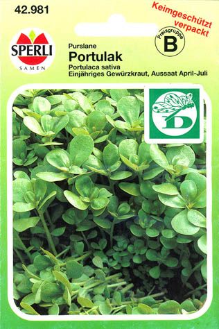 Haveportulak, Portulak, Portulaca oleracea </i>L.<i>