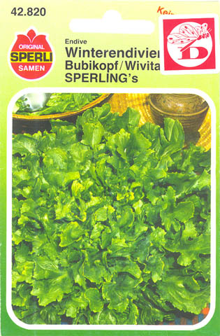 Endivie, Bubikopf/Wivita, Cichorium endivia </i>L.<i>