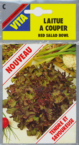 Havesalat, pluksalat, Red Salad Bowl, Lactuca sativa </i>L. var. <i>crispa
