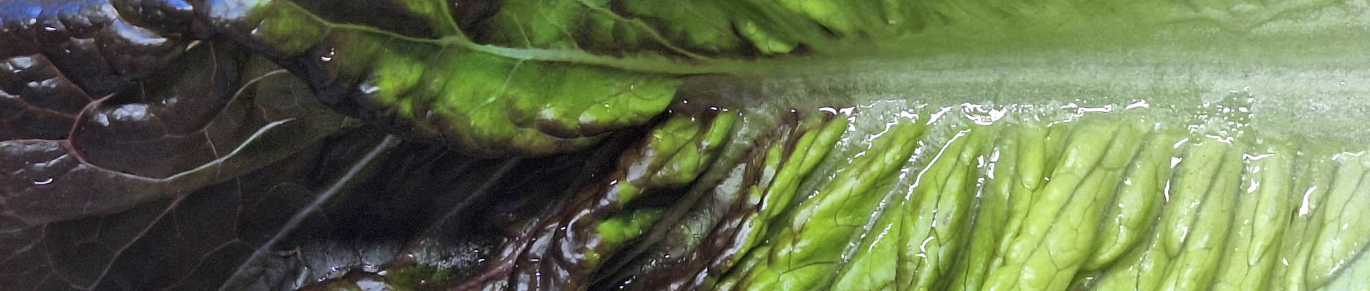 Bindsalat