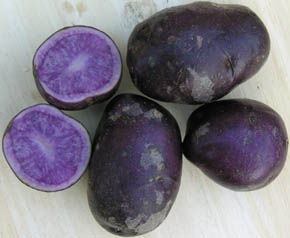 Kartoffel Bl Congo