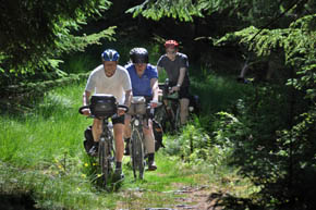 Cyklister p tur i Klosterhede Plantage