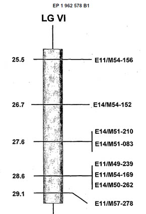 DNA markrer, European Patent EP1962578